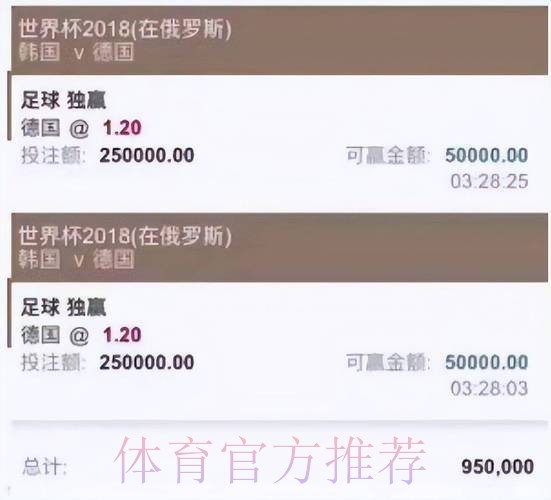 世界杯投注平台全方位选购指南与攻略解读